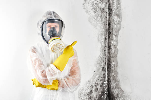 Mold Remediation for Rental Properties in Athens, WV